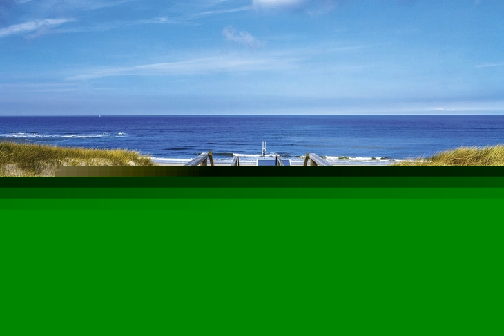 Holzsteg führt über Dünen zum Meer auf Sylt.
