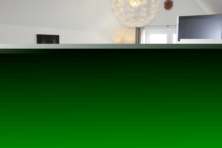 Wohnzimmer mit grauem Sofa, Esstisch, Stühlen und Wandbild eines Hirsches.
