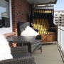 Balkon mit Sitzgruppe, Strandkorb, Kissen, Blick auf benachbarte Gebäude.