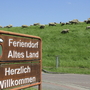 Schild 