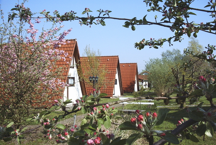 Mehrere Ferienhäuser mit roten Dächern in einem blühenden Garten.