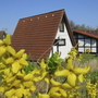 Gelbes Blumenbeet vor einem Holzhaus mit rotem Dach im Feriendorf Altes Land.