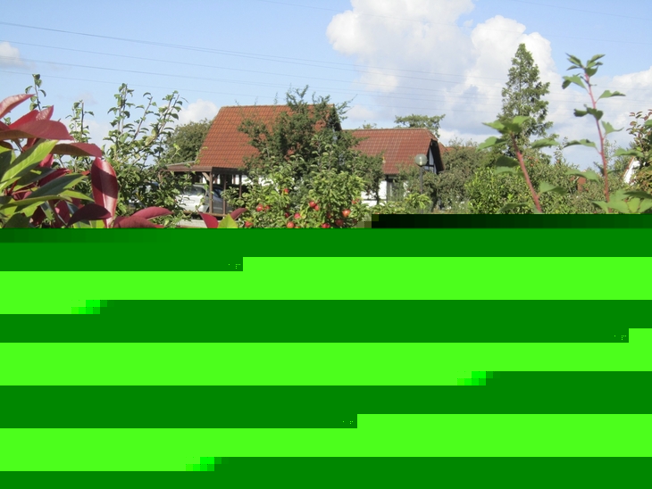 Grünes Grundstück mit Obstbaum und rotem Dach im Hintergrund.