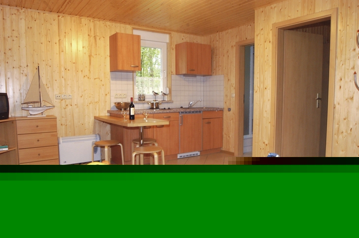 Wohnbereich mit Holzwänden, Küchenzeile und Sofa.