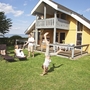 Ein Ferienhaus mit Terrasse und Personen im Garten bei sonnigem Wetter.