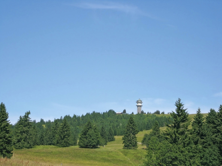 Grüne Landschaft mit Wiese und Bäumen, Turm in der Ferne unter blauem Himmel.