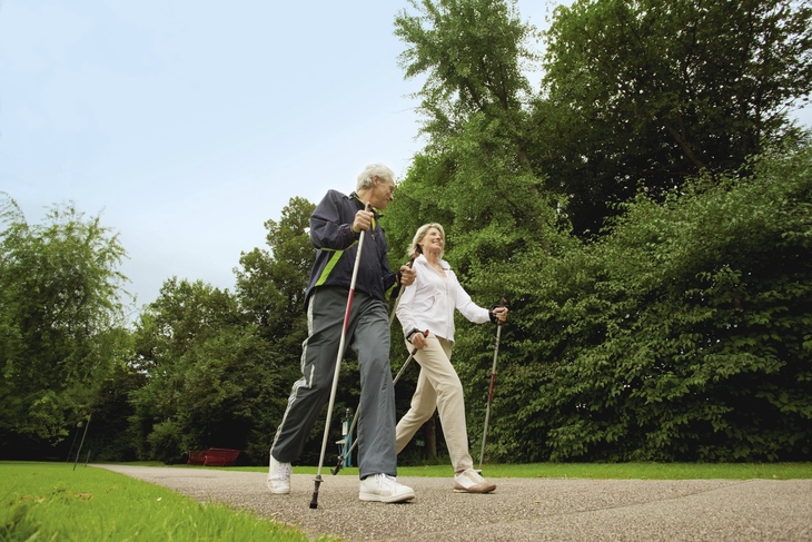 Zwei Personen beim Nordic Walking auf einem Weg im Grünen.