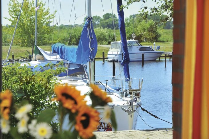 Boote im Hafen mit Blick auf Wiese und Blumen im Vordergrund.