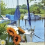 Boote im Hafen mit Blick auf Wiese und Blumen im Vordergrund.