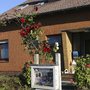 Außenansicht eines Backsteinhauses mit blühenden Rosen im Vordergrund.