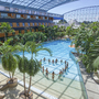 Personengruppe im Wellenbad eines tropischen Hallenbads mit Palmen und Glasdach.
