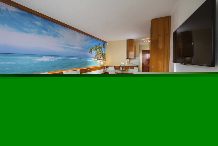 Modernes Gästehaus-Appartement mit Doppelbett, Meer-Wandbild, Holzmöbeln und TV.