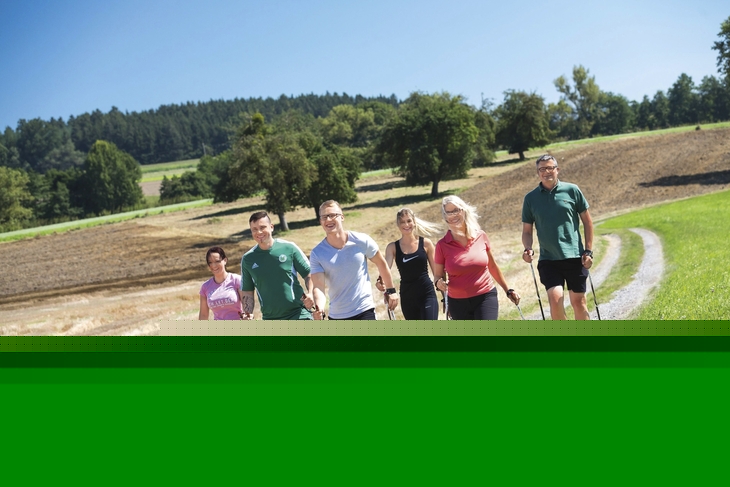 Gruppe beim Nordic Walking auf einem Feldweg in landschaftlicher Umgebung.