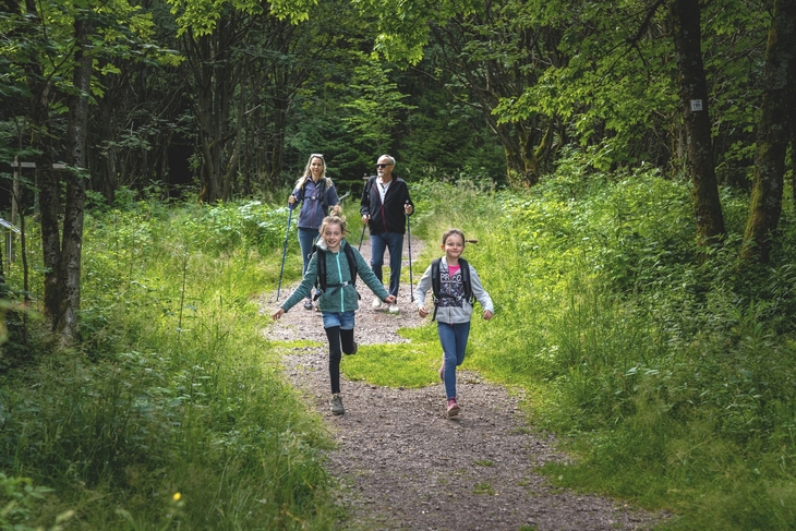 Familie wandert im Wald, zwei Kinder rennen auf einem Pfad voraus.