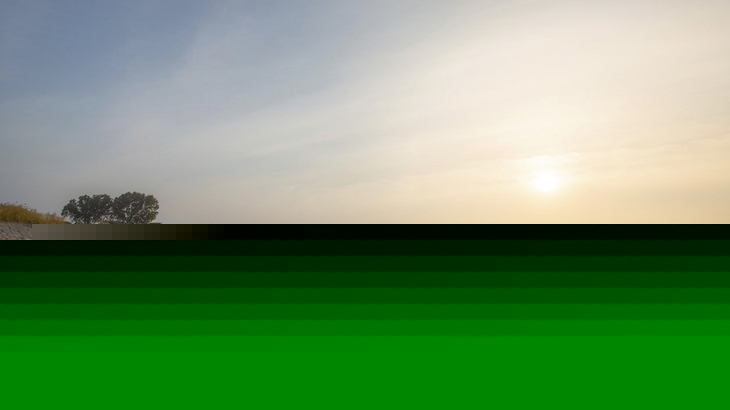 Sonnenaufgang an einem ruhigen Sandstrand mit Meer und Bäumen im Hintergrund.