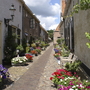 Schmale Gasse mit blühenden Pflanzen beidseitig in historischem Stadtzentrum.