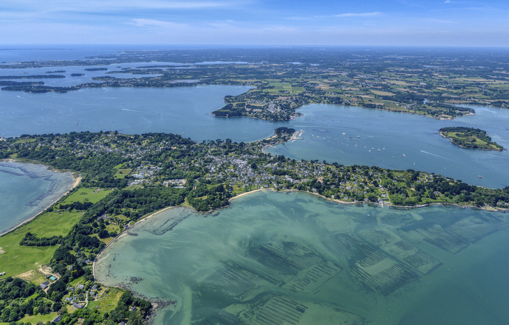 Luftaufnahme der Küste und Inseln im Golf von Morbihan, grüne und blaue Wasserflächen.