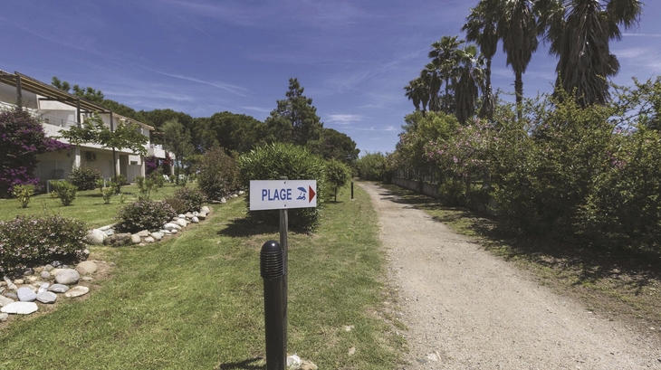 Weg zum Strand mit Palmen und Schild, das 