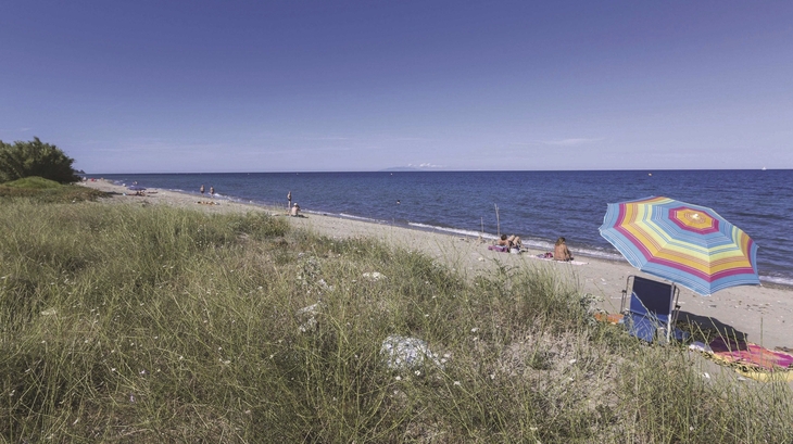 Strand mit Sonnenschirm und Wiese im Vordergrund, Meer im Hintergrund.