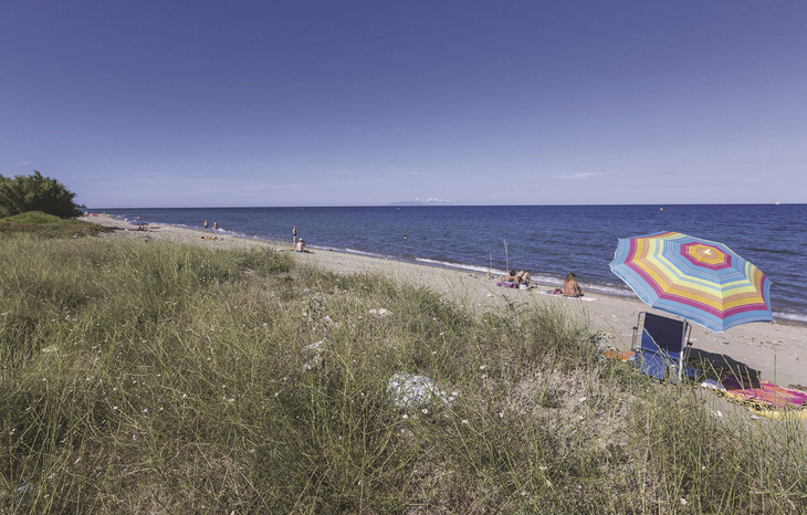 Strand mit Sonnenschirm und Gräsern, Meer im Hintergrund, klare blaue Himmel.