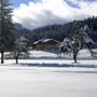 Verschneite Winterlandschaft mit Haus und Bäumen im Hintergrund.