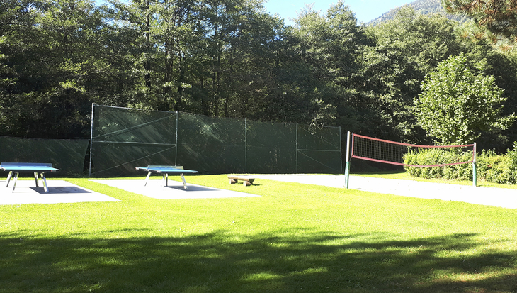 Tischtennisplatten und Volleyballnetz auf einer grünen Wiese vor Bäumen.