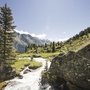 Berglandschaft mit Bäumen, einem Fluss und wandern Menschen in Tirol.