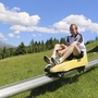 Person auf Sommerrodelbahn in grüner Alpenlandschaft mit blauem Himmel.