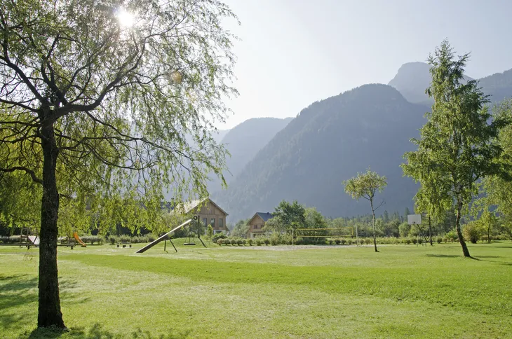 Wiese mit Bäumen im Sonnenschein vor einer Bergkulisse in Obertraun.