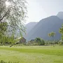 Wiese mit Bäumen im Sonnenschein vor einer Bergkulisse in Obertraun.