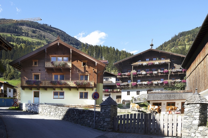 Ferienwohnungen Platzhaus