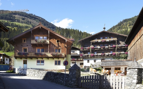 Alpenhäuser mit Balkonen und Blumen in einer ländlichen Umgebung.