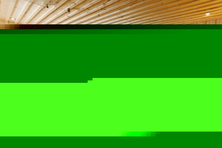 Holzsauna mit Bänken und einem Saunaofen.