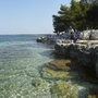 Felsige Küste mit klarem Wasser und Bäumen im Hintergrund am Brioni Sunny Campingplatz.