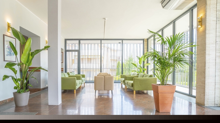 Heller Loungebereich mit grünen Sofas und großen Pflanzen, moderne Fensterwände.