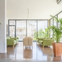 Heller Loungebereich mit grünen Sofas und großen Pflanzen, moderne Fensterwände.