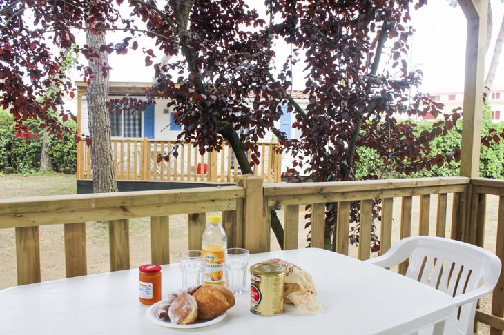 Tisch auf Terrasse mit Getränken, Brot und Bäumen im Hintergrund.