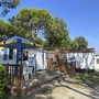 Campingplatz mit Mobilheim, Terrasse und Fahrrad, umgeben von Bäumen bei sonnigem Wetter.