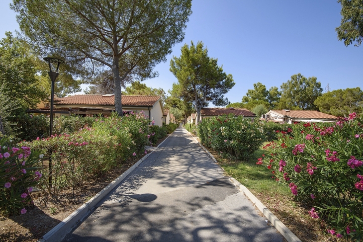 Wege zwischen Bungalows, umgeben von Bäumen und blühenden Büschen.