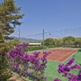 Tennisplatz mit violetten Blumen im Vordergrund, umgeben von Bäumen und blauem Himmel.