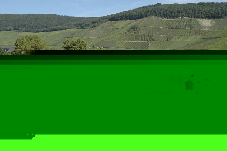Radfahrer auf einem Weg entlang eines Flusses in einer grünen, hügeligen Landschaft.