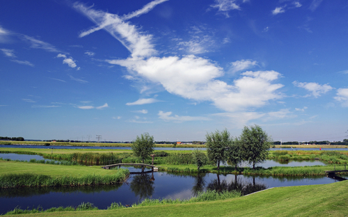 Landschaft am Wasser im Oosterschelde Nationalpark unter blauem Himmel.