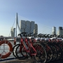Mehrere rote Fahrräder vor einer Brücke in Rotterdam bei klarem Himmel.