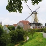 Windmühle in Willemstad, Zeeland, umgeben von grüner Landschaft und historischen Gebäuden.