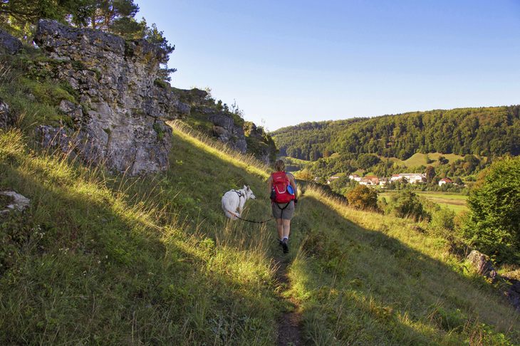 Eine Person wandert mit einem Hund auf einem Pfad im Altmühltal.