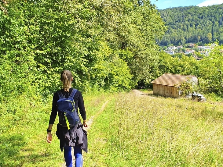 Wanderer auf einem Pfad im Altmühltal, umgeben von Bäumen und Grünflächen.