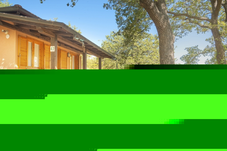 Bungalow im Grünen mit Terrasse und Stühlen, umgeben von Bäumen und Pflanzen.