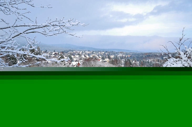 Verschneite Landschaft mit Bäumen und Dörfern im Hintergrund.