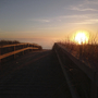 Sonnenuntergang über einem hölzernen Strandweg, umgeben von Gräsern.