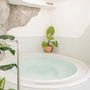 Whirlpool in einem hellen Raum mit Topfpflanzen.